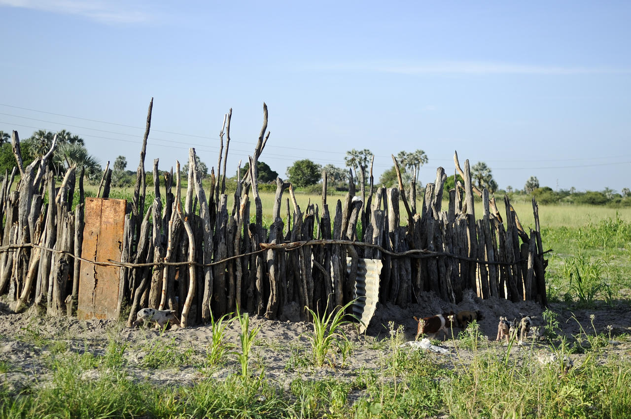 Ongula Village Homestead Lodge Omupumba Exteriör bild